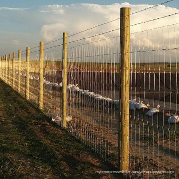 Hight Quality Goat Farming/Field Fence for Sheep and Cattle